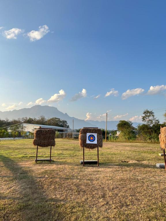 Zvířata v luxury tent nebo okolí