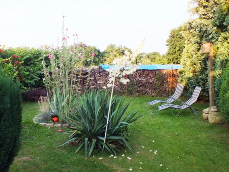 zwei Stühle in einem Garten mit Pflanze in der Unterkunft Ferienwohnung Sundhagen in Reinberg