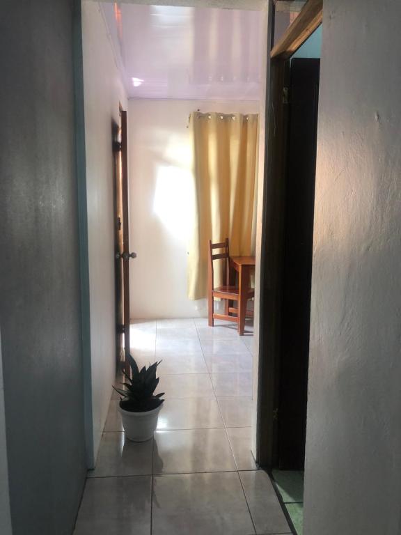 einen Flur mit einer Topfpflanze auf einem Fliesenboden in der Unterkunft Apartamento BYES in Quepos