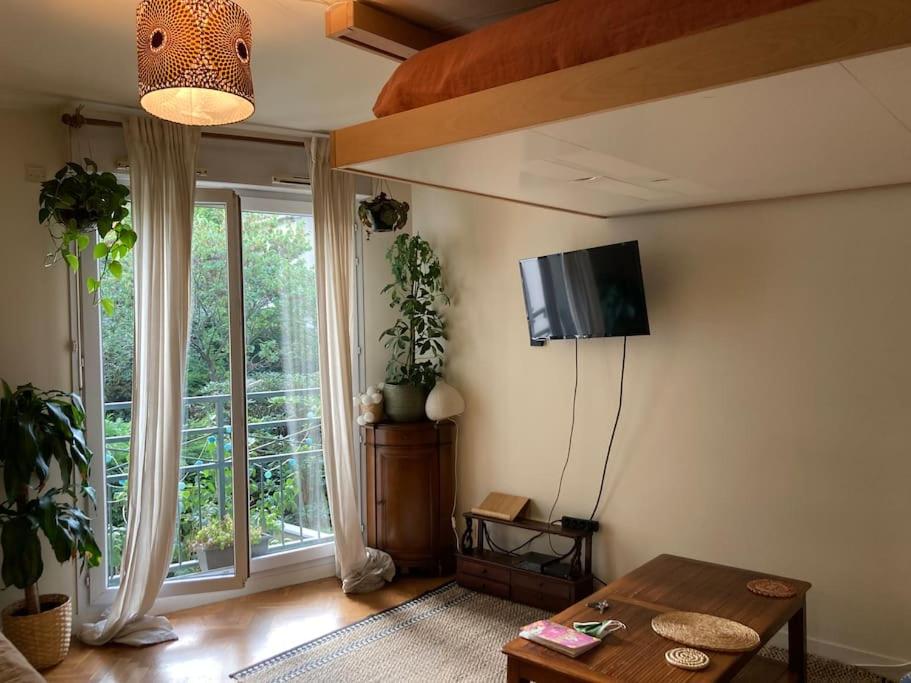 Televízia a/alebo spoločenská miestnosť v ubytovaní Les Lilas : Joli Studio cosy