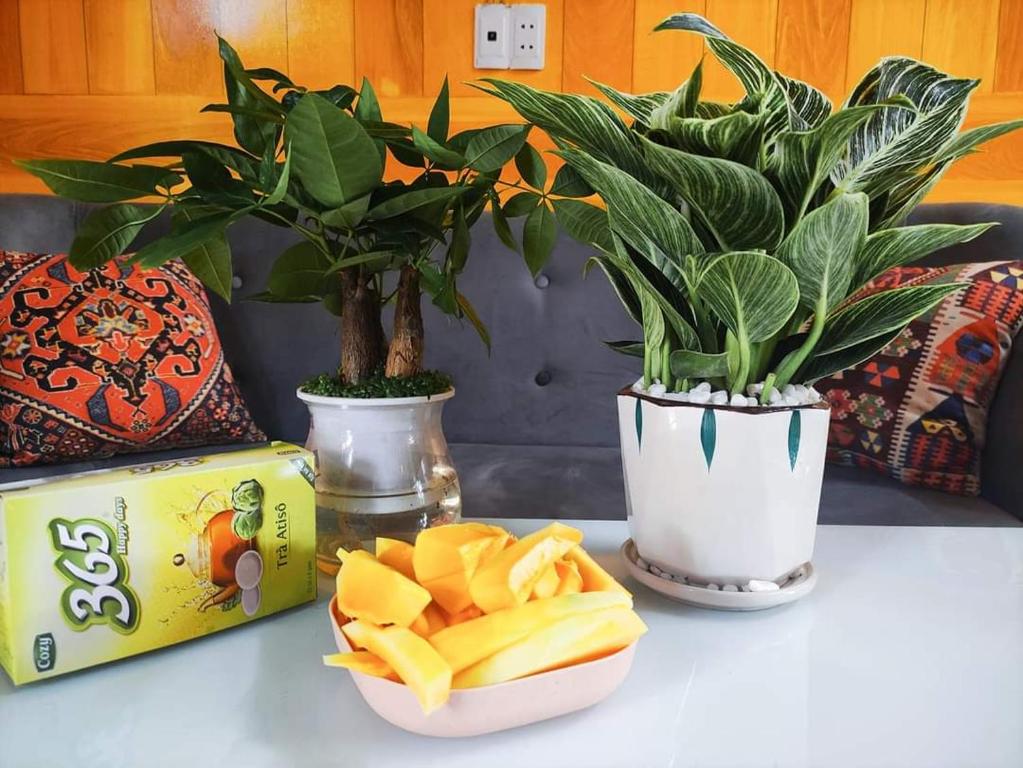 uma mesa com dois vasos de plantas e uma tigela de batatas fritas em Mình Nghía Homestay em Cao Bang