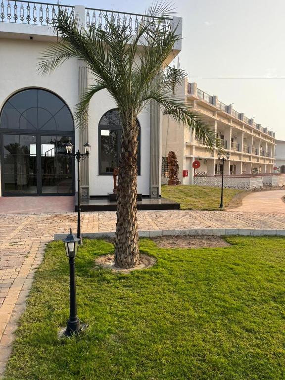a palm tree in front of a building with a street light at Narwar Lakefront Resort in Shivpurī
