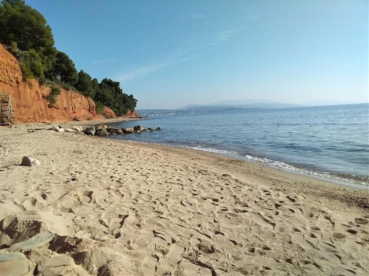 Príroda v okolí apartmánu