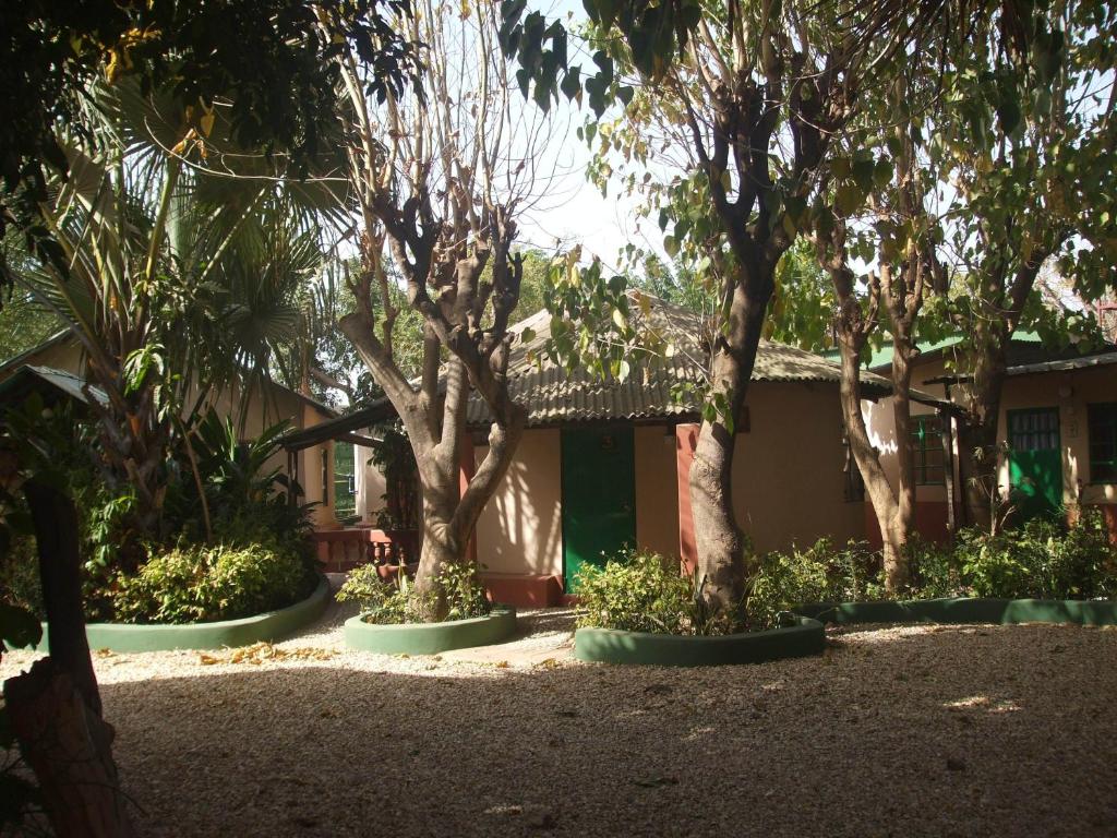 a group of trees in front of a building at Camping-Sukuta & Lodge in Sukuta