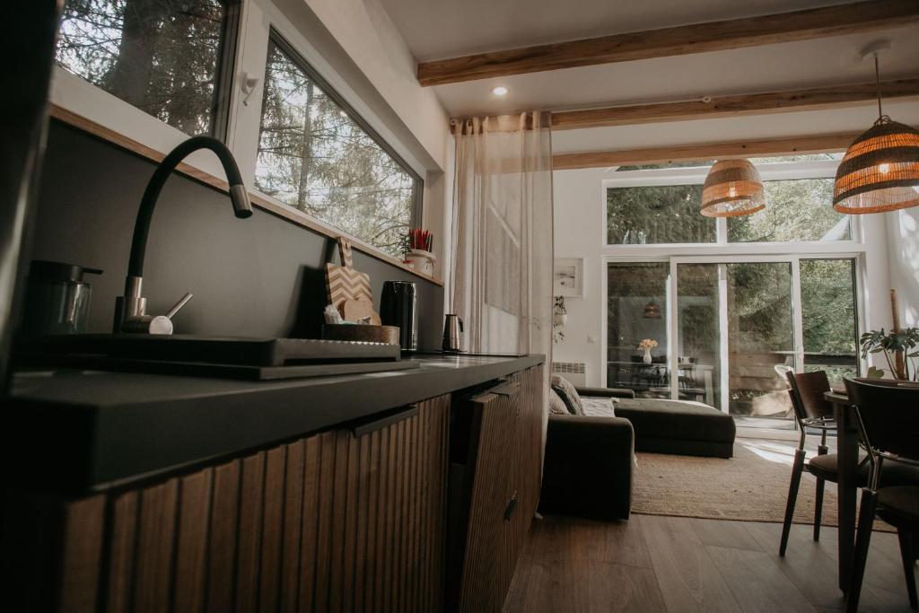 A kitchen or kitchenette at Poczciwy Bies
