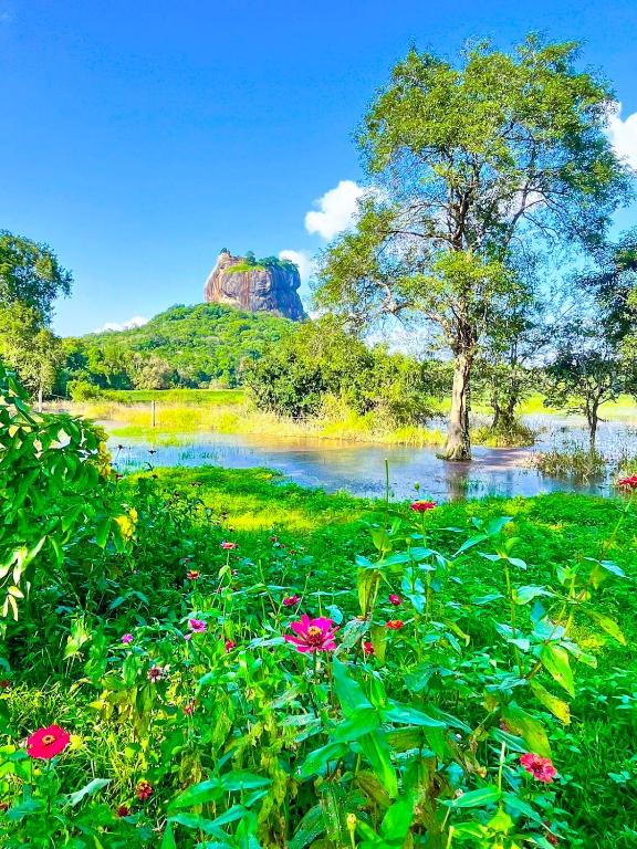 a painting of a field with flowers and a lake at The Fun Hostel in Sigiriya