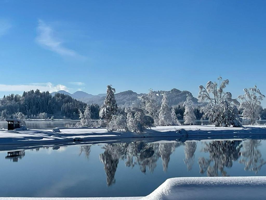 un riflesso di alberi nell'acqua con la neve di Landliebe mit Seenähe und Innenpool a Petersthal