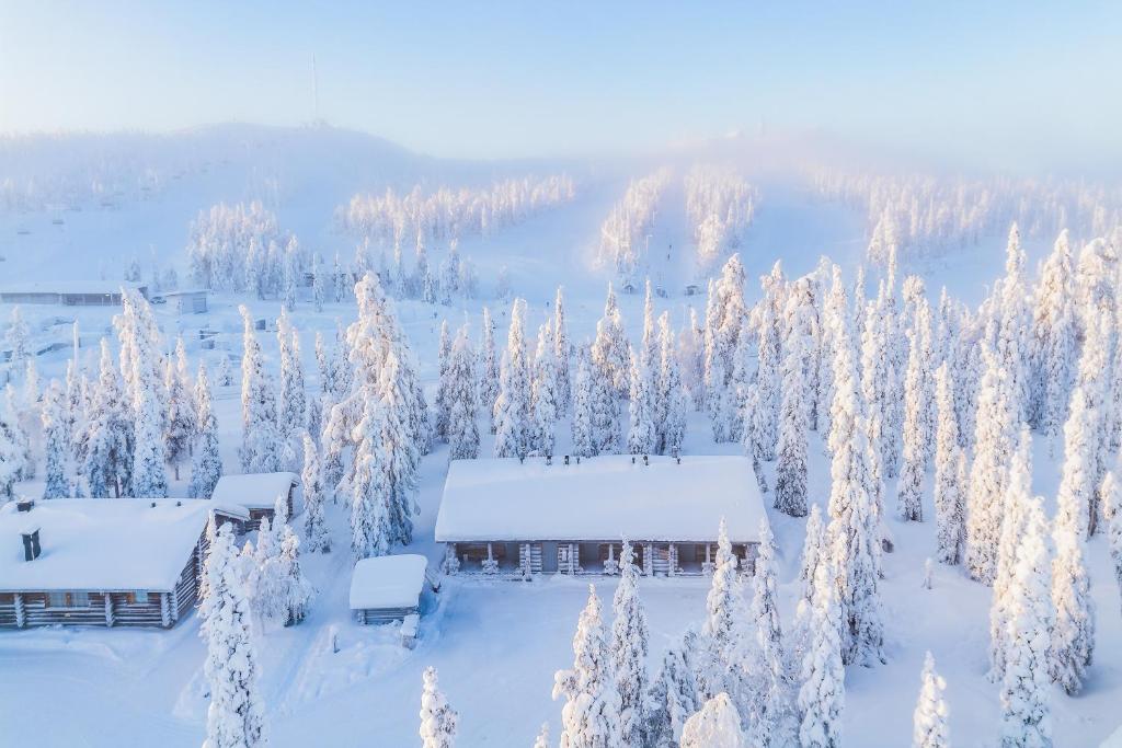 una cabaña en un bosque nevado con árboles nevados en Ruka Inn, en Ruka