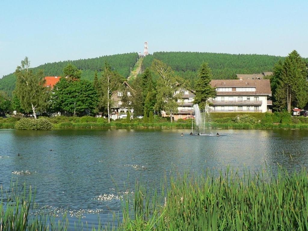 Un lago con una fuente en el medio. en Luxus Ferienwohnung Kaminzeit, en Goslar