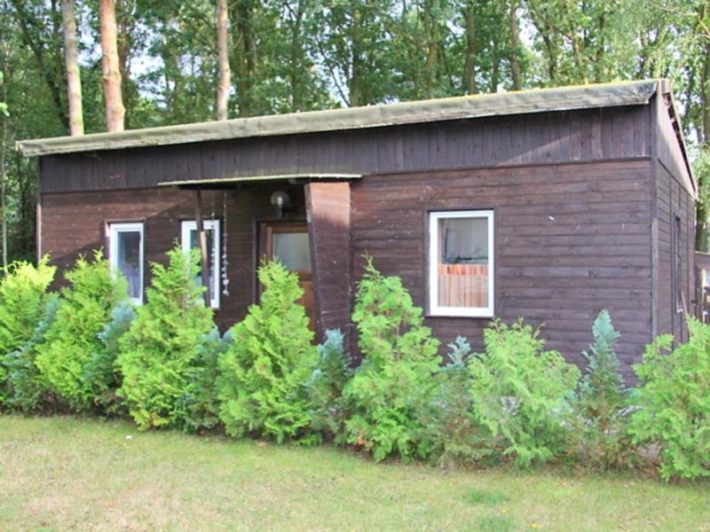 eine kleine Hütte inmitten einiger Büsche in der Unterkunft Bungalow mit Terrasse in Glowe