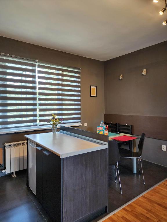 Fotografie z fotogalerie ubytování Sunny Central Apartment v Sofii