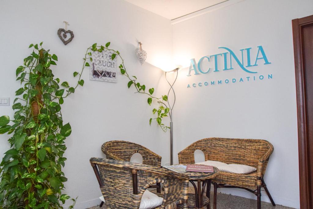 Posezení v ubytování Actinia Accommodation