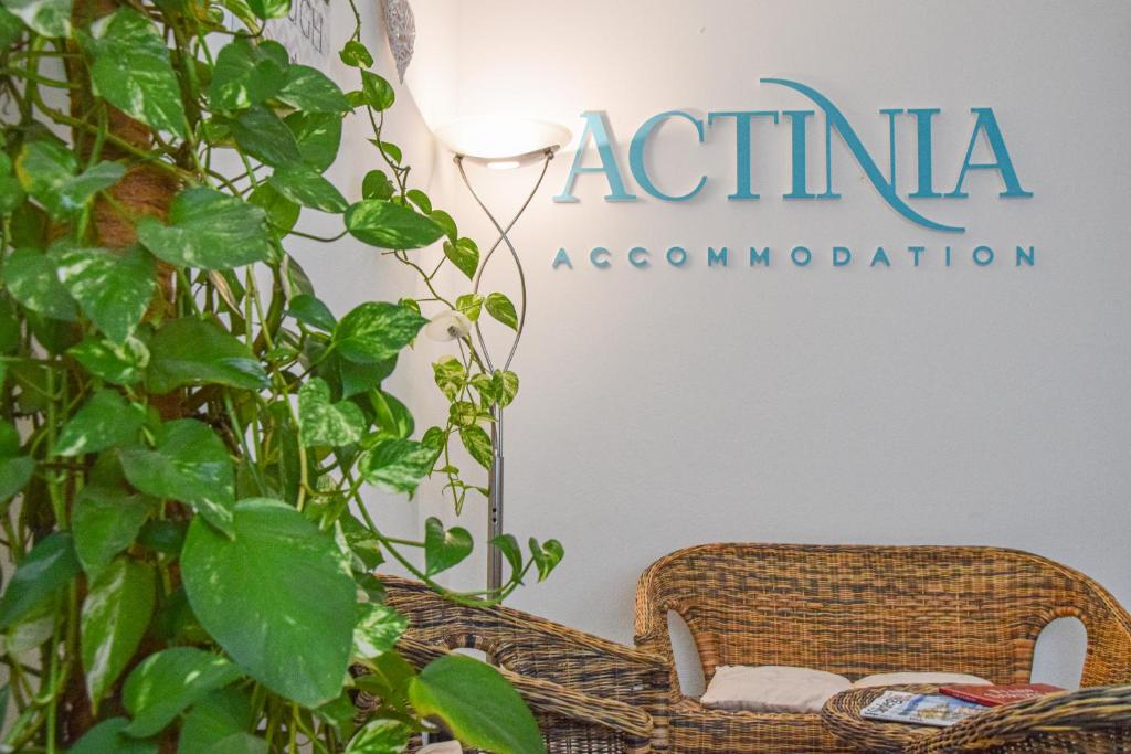 Fotografie z fotogalerie ubytování Actinia Accommodation v destinaci Alghero