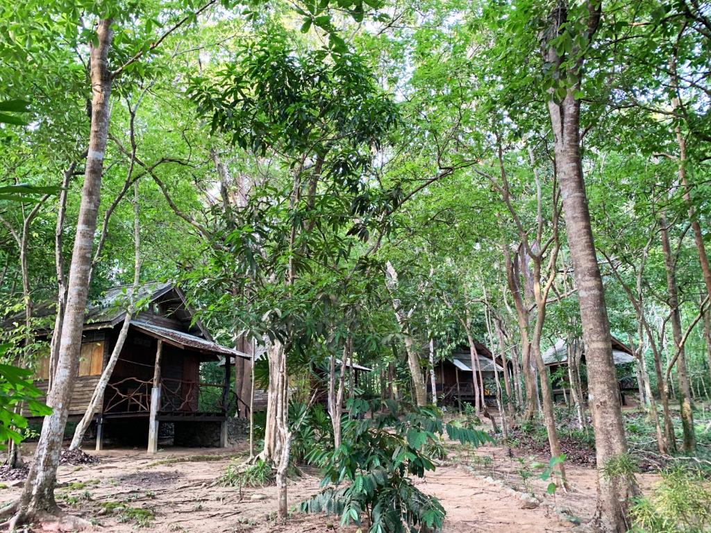 uma cabana no meio de uma floresta com árvores em Room in Bungalow - Foresta Cottage of Koh Pu no6195 em Ko Jum