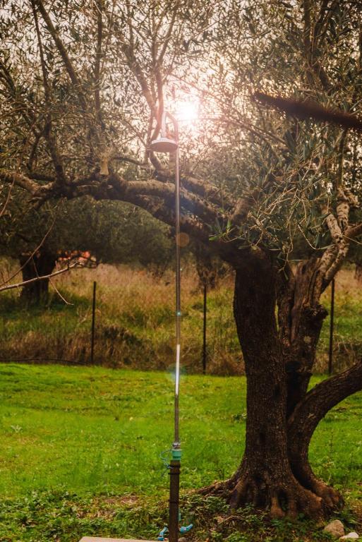 Fotografie z fotogalerie ubytování Eva's House v destinaci Lefkímmi