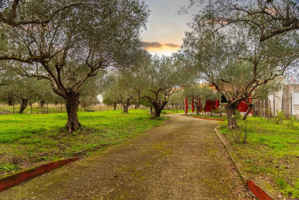 Fotografie z fotogalerie ubytování Eva's House v destinaci Lefkímmi