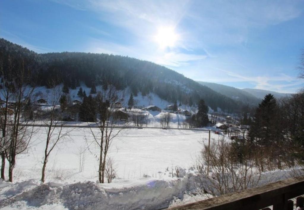 a snow covered field with trees and a mountain at LE GRAND CERF Chalet en rondins avec SPA Jacuzzi in La Bresse