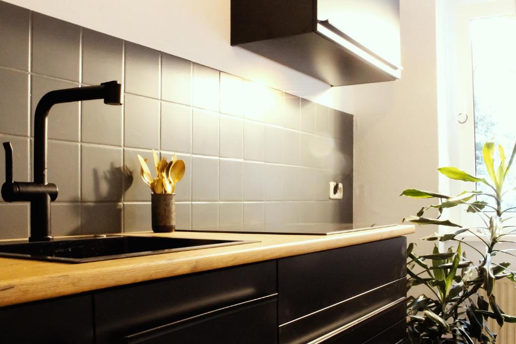 a kitchen with a sink and aaucet at NUWILU ONE - Apartment mit Balkon im Herzen Erfurts - Magenta TV- Netflix - Disney in Erfurt