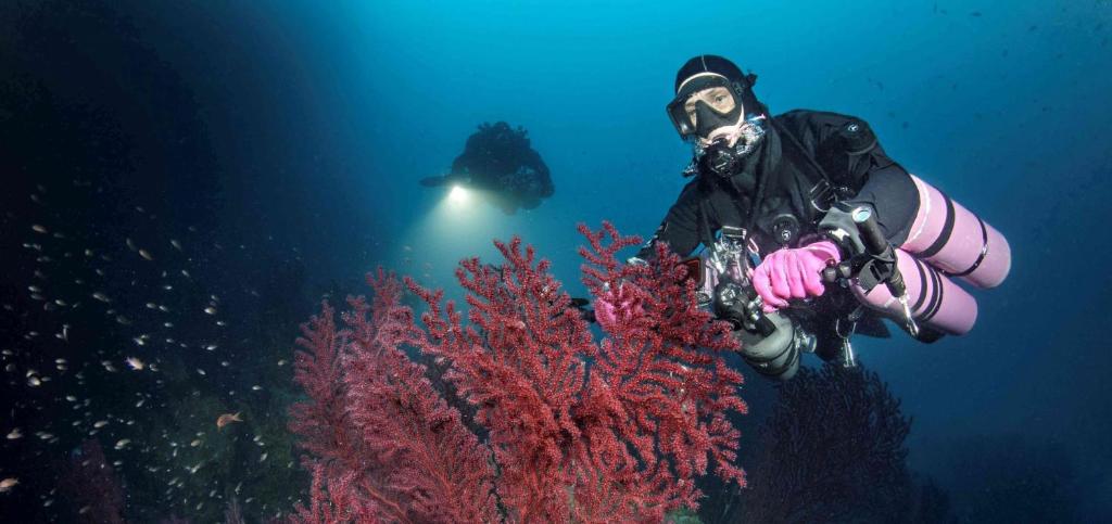 Hostia v ubytovaní RAPALLO centro storico a due passi dal mare con ascensore