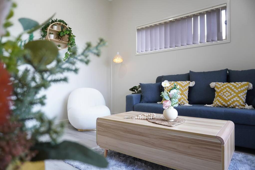 a living room with a blue couch and a coffee table at Entire house in Pimpama in Gold Coast