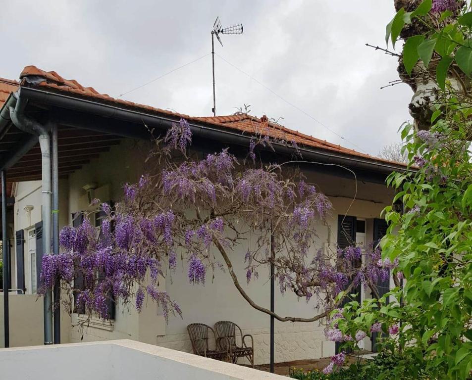 La maison d Irma