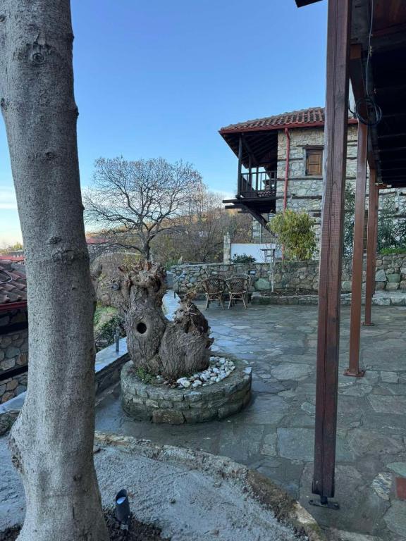 Zahrada ubytování Enastron Guesthouse