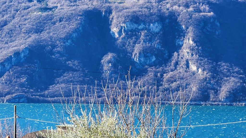 una gran masa de agua con una montaña en el fondo en L'ulivo Apartment immerso nella tranquillità, en Lierna