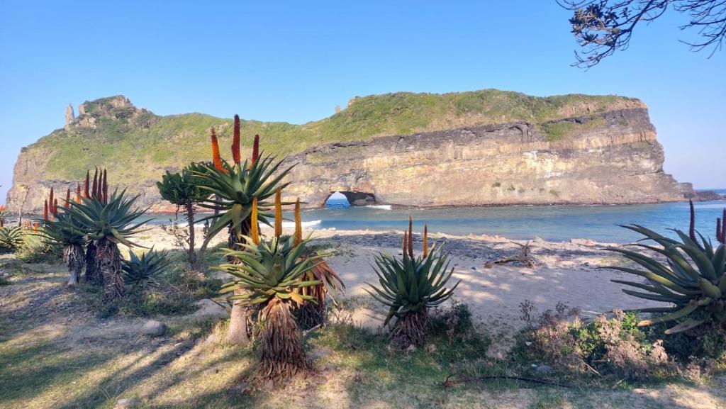 Beach Cottage - Hole in the Wall Resort - Vakantiehuis