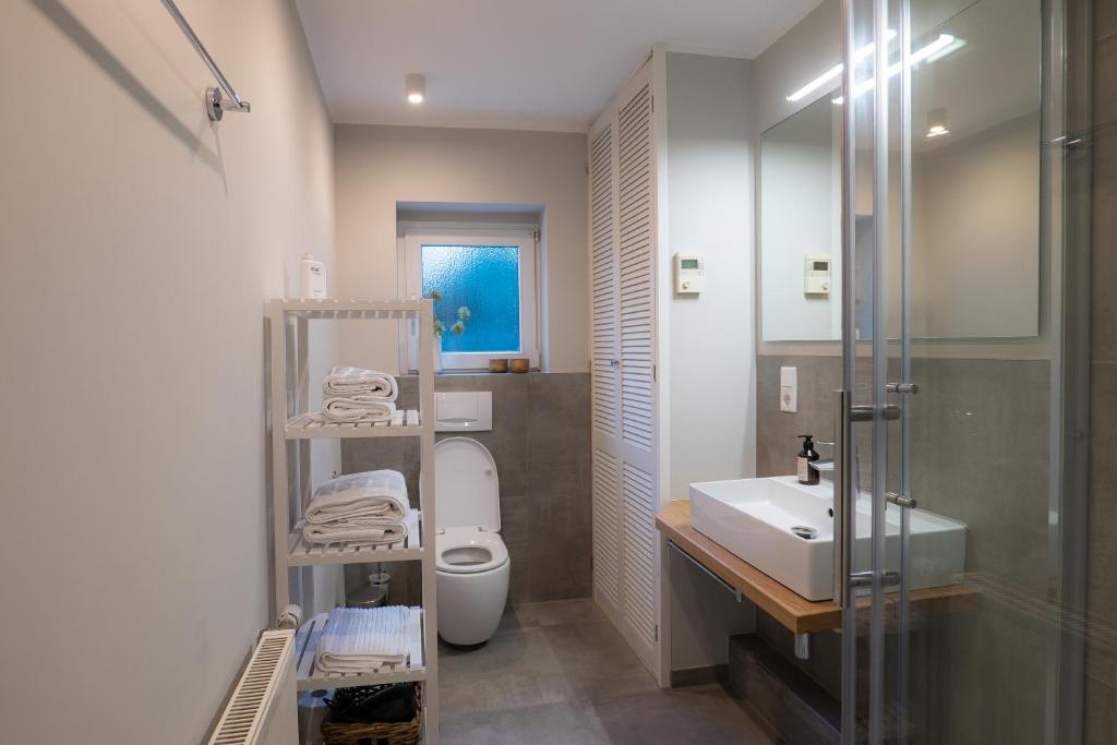 帕德博恩的住宿－Im Herzen der Stadt - EG Wohnung，浴室配有卫生间、盥洗盆和淋浴。