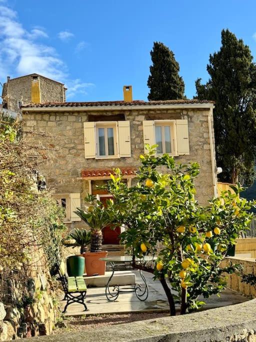 une maison avec un banc et un oranger en face dans l'établissement Grande maison de village, à Olmeto