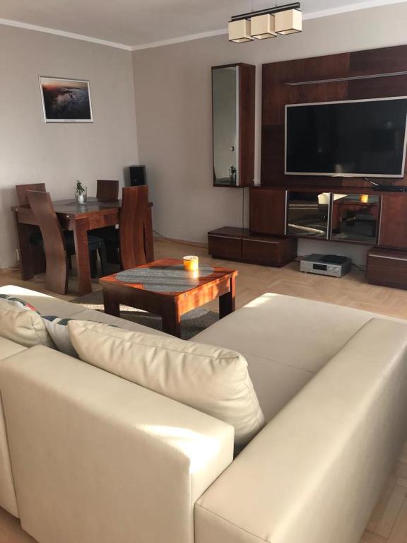 Televízia a/alebo spoločenská miestnosť v ubytovaní Apartament Jantarowa