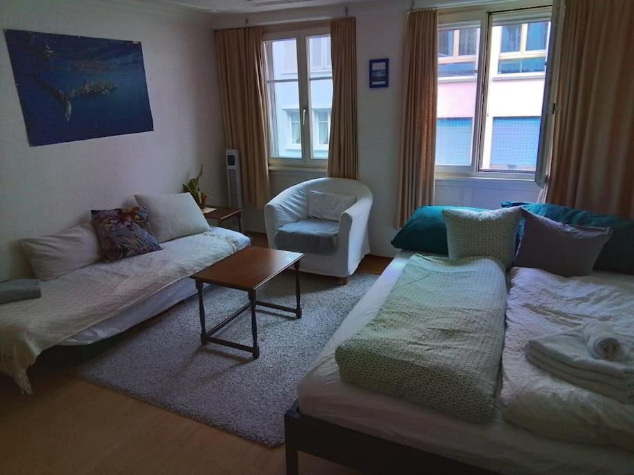 ein Wohnzimmer mit einem Sofa und einem Stuhl in der Unterkunft tiny flat in St. Gallen
