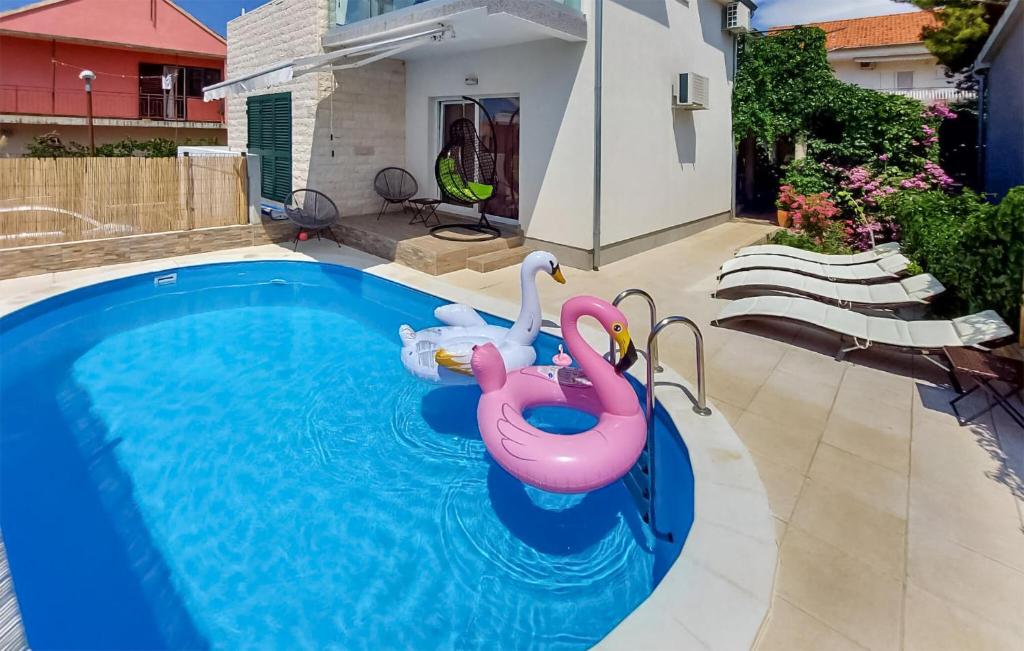 une piscine avec deux flamants gonflables dans l'eau dans l'établissement 1 Bedroom Amazing Apartment In Sibenik, à Šibenik