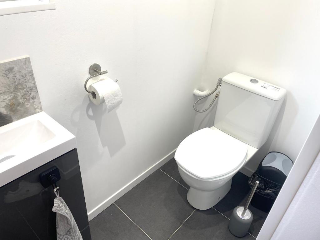 a bathroom with a white toilet and a sink at La Domus Lemaitre 1, plain-pied, Wifi , TV, parking, jardin 