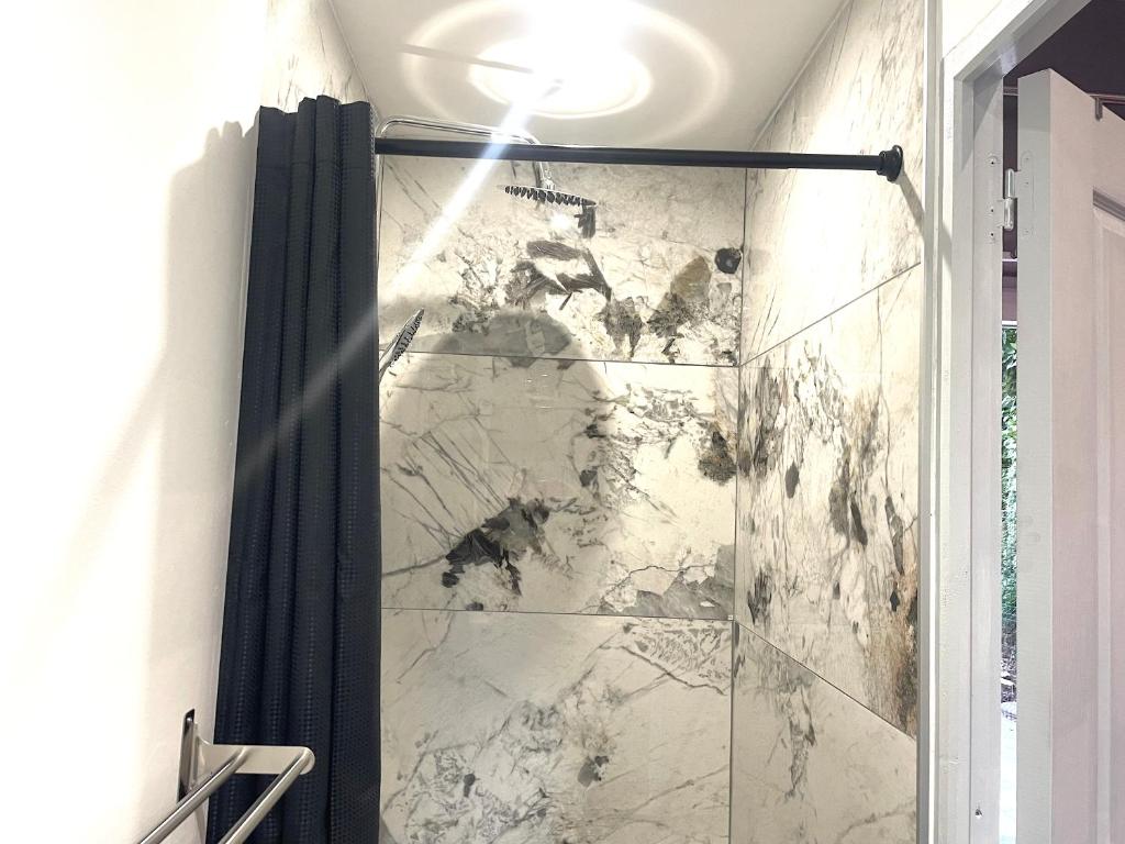 a shower in a bathroom with a marble wall at La Domus Lemaitre 1, plain-pied, Wifi , TV, parking, jardin 