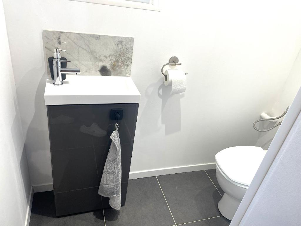 a bathroom with a sink and a toilet at La Domus Lemaitre 1, plain-pied, Wifi , TV, parking, jardin 
