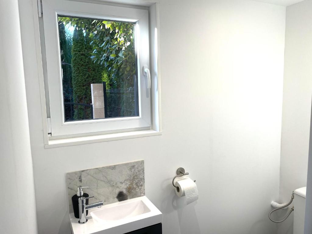 a bathroom with a sink and a mirror at La Domus Lemaitre 1, plain-pied, Wifi , TV, parking, jardin 