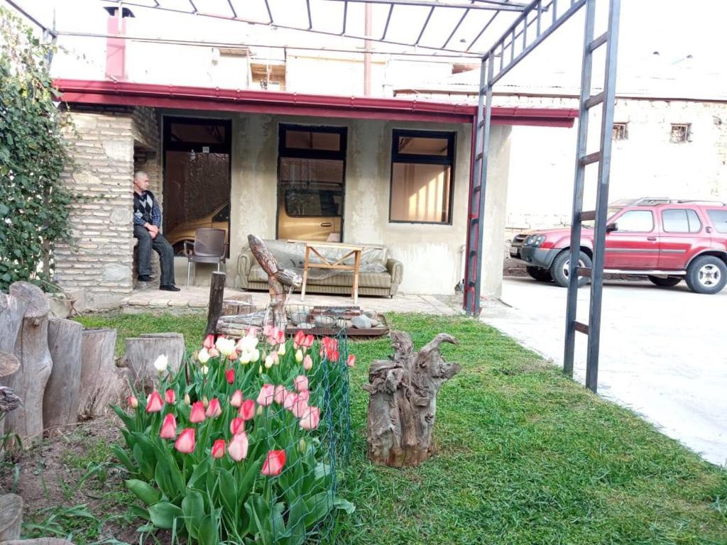 Zahrada ubytování Hotel Continental