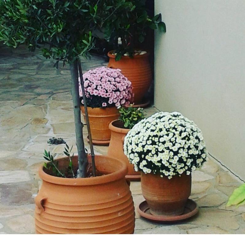 Avenue Luxury Apartments - 15