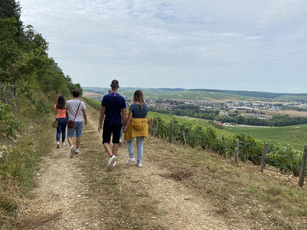 een groep mensen die over een onverharde weg loopt bij Les Suites Gueguen in Chablis