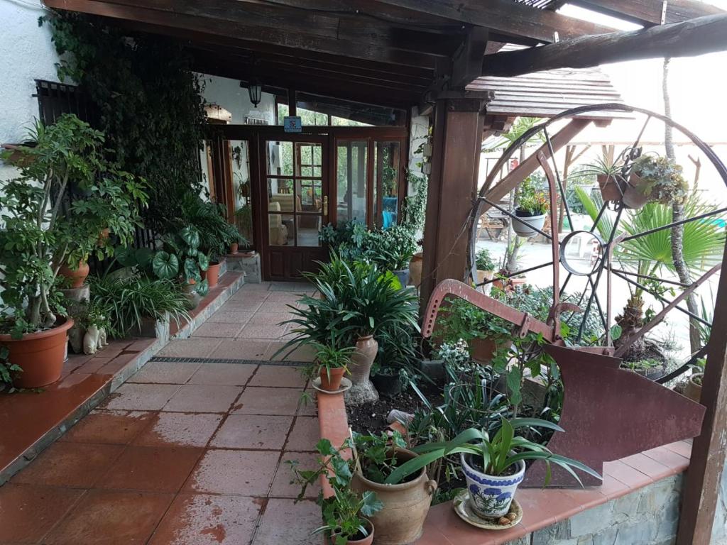 Zahrada ubytování CORTIJO-LA LOMA