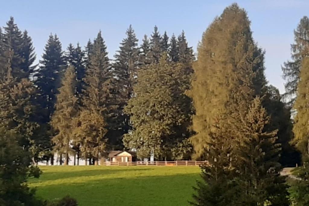 un champ avec des arbres et une maison au loin dans l'établissement Almhütte, à Waldenstein