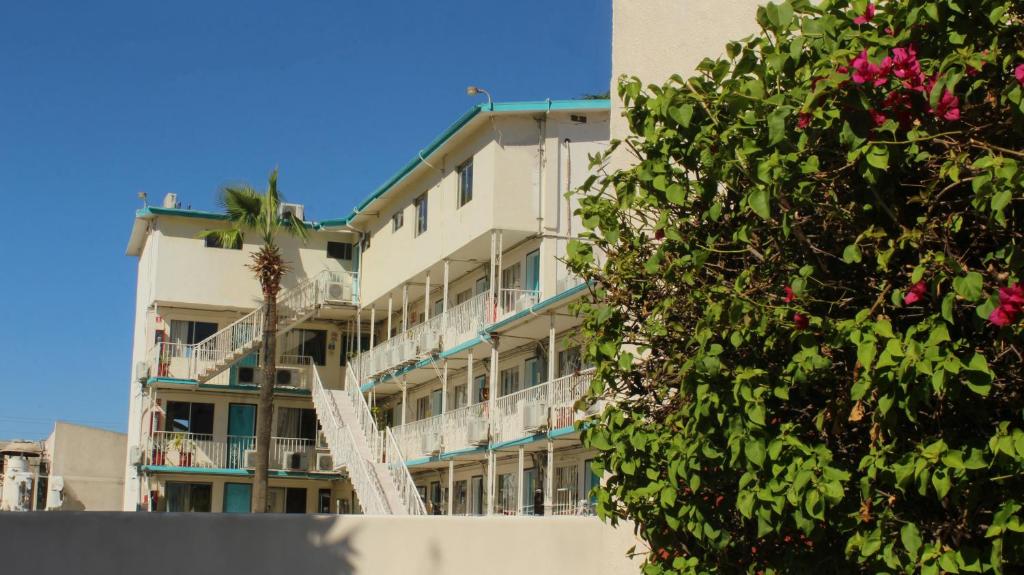 un grand bâtiment avec un palmier devant lui dans l'établissement Hotel Guillen, à Tijuana