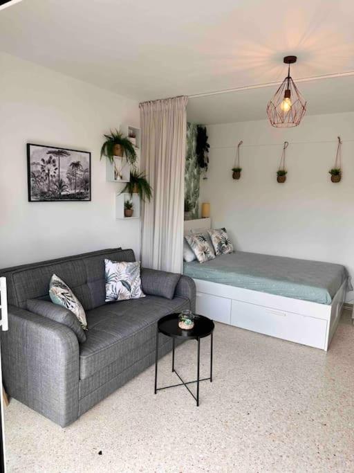 un salon avec un canapé et un lit dans l'établissement Orangers - Bord de mer - Studio cosy 4 personnes, à Cagnes-sur-Mer