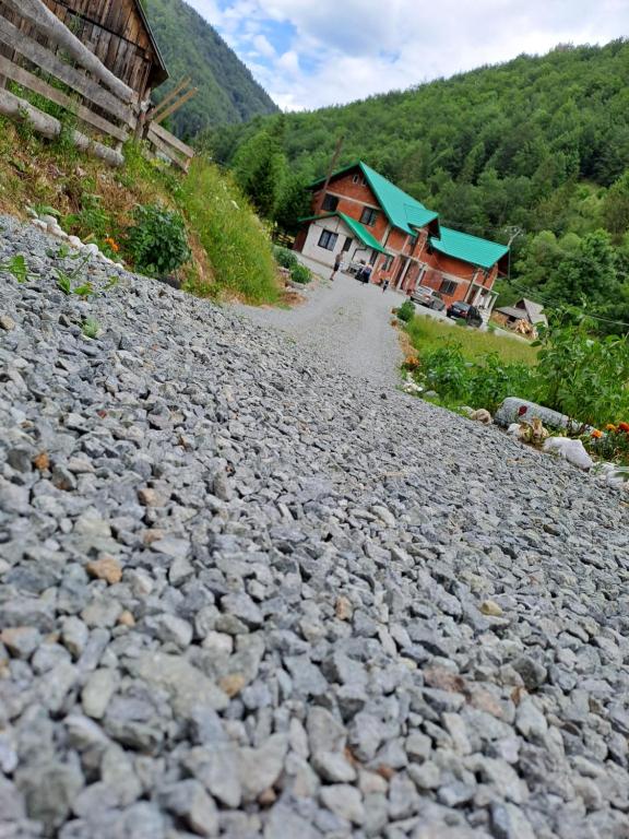 una carretera rocosa con edificios en el fondo en Cabana Cosmina &Milan, en Câmpeni