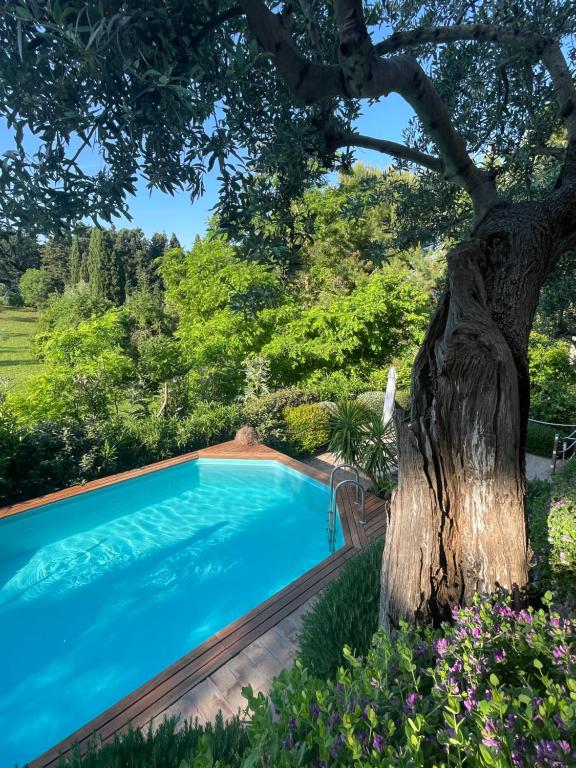 una piscina con un árbol al lado en Amore a prima vista b&b, en Campiglia Marittima