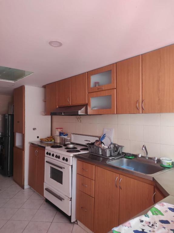 Kuchyň nebo kuchyňský kout v ubytování Hotel chimenea calle 100