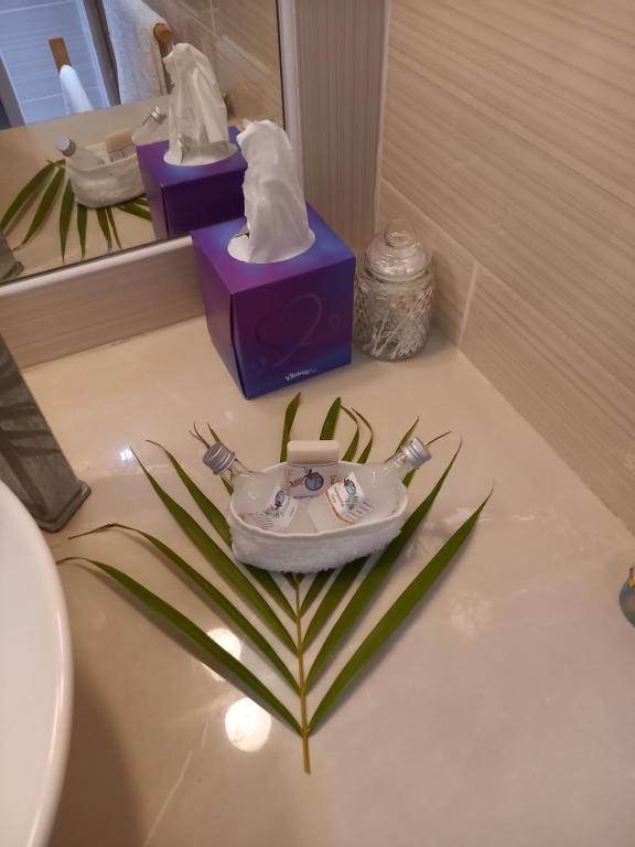 een badkamer met een wastafel en een spiegel bij Location Les Arômes Anse Mitan Trois Ilets Martinique in Les Trois-Îlets