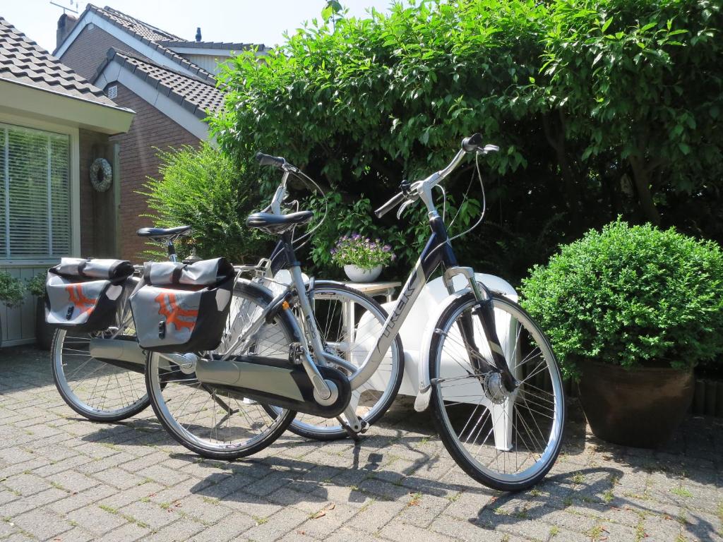 Jízda na kole v ubytování B&B Vloedlijn Texel nebo okolí