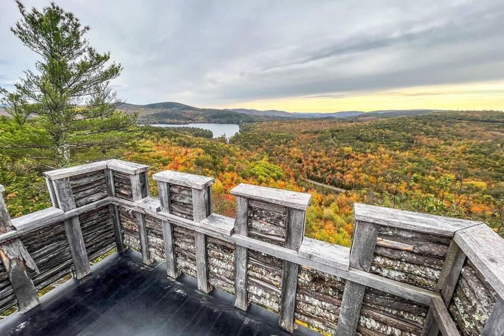 Blick vom Rand eines Waldes mit See in der Unterkunft Rustic Cabin in Maine Woods-The Beech in North Lovell